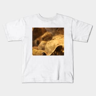 Brown dog face with eyes and snout Kids T-Shirt